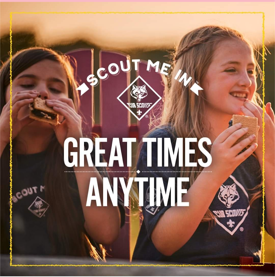 Cub Scout Great Times